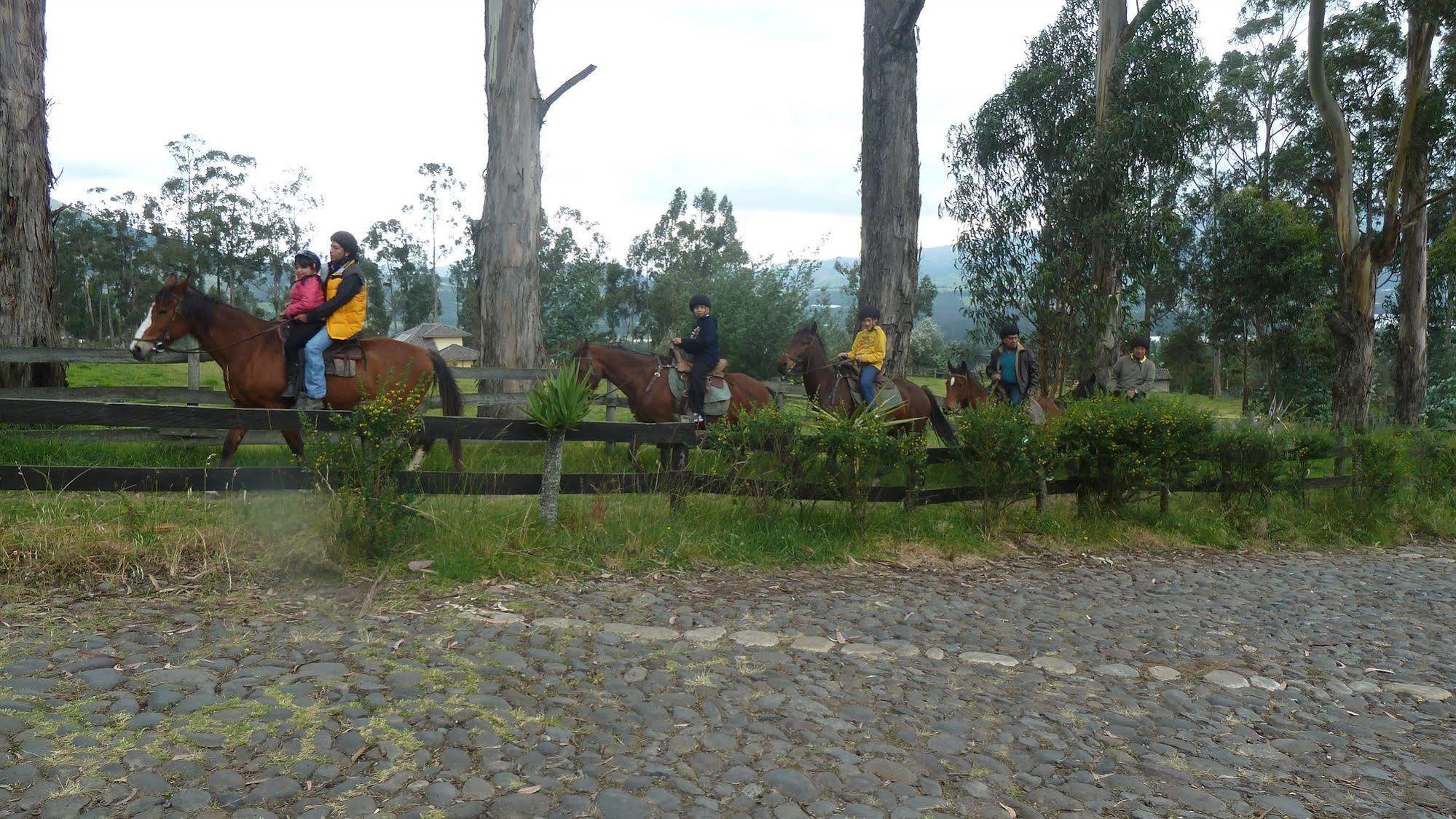 Hacienda Hosteria San Luis 카얌베 외부 사진